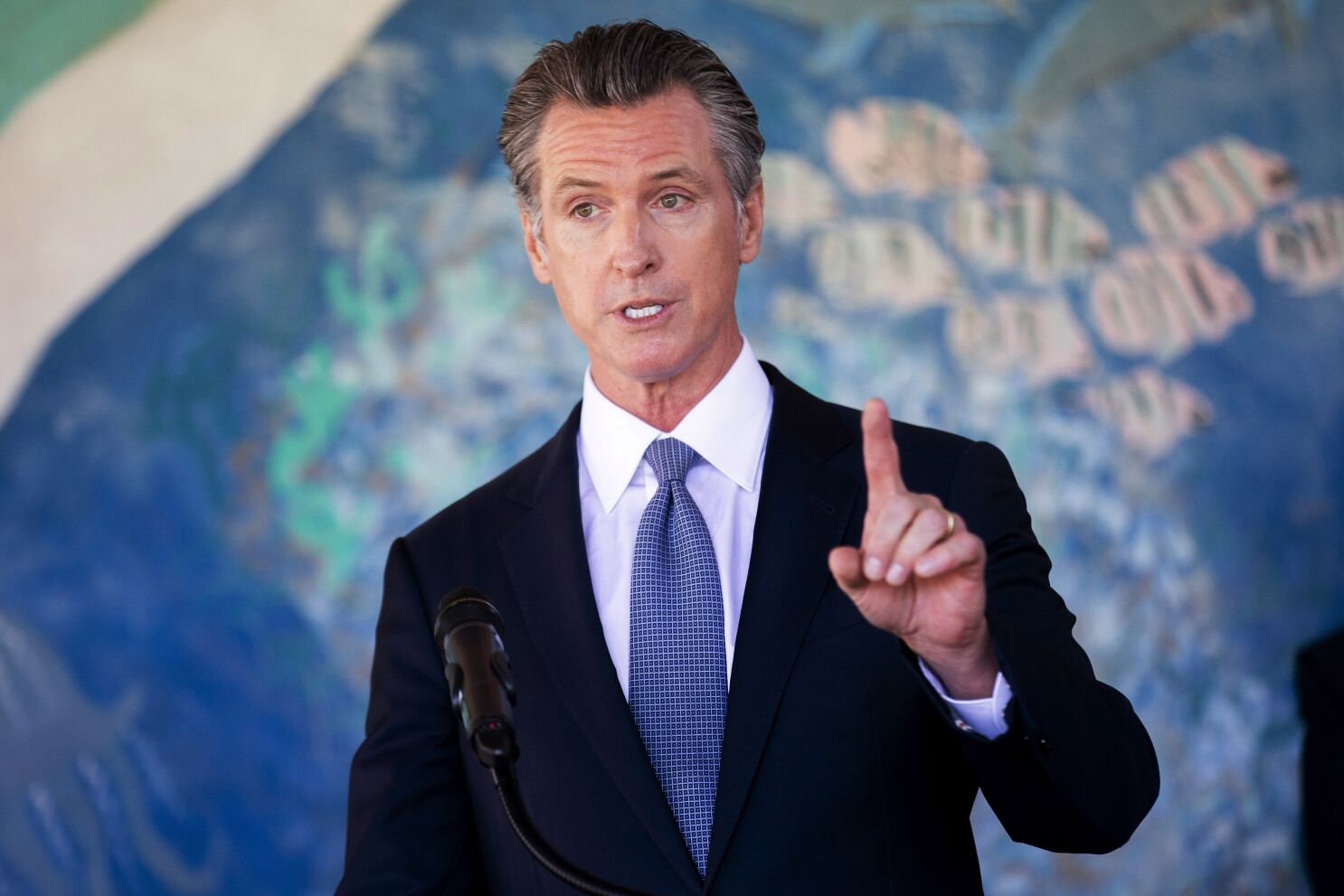 Gavin Newsom