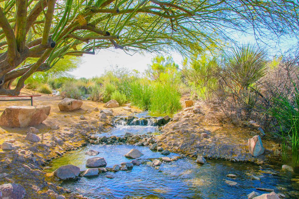 Riparian Preserve at Water Ranch