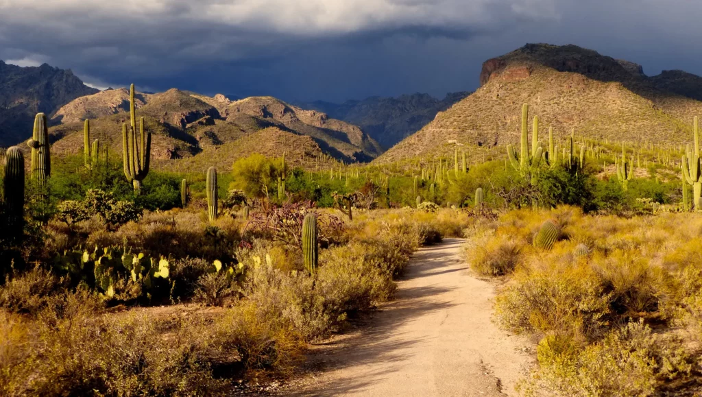 Sabino Canyon