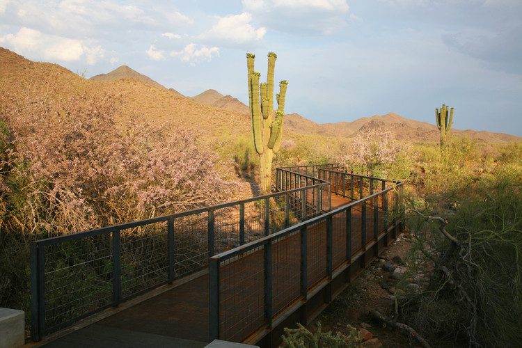 The McDowell Sonoran Preserve