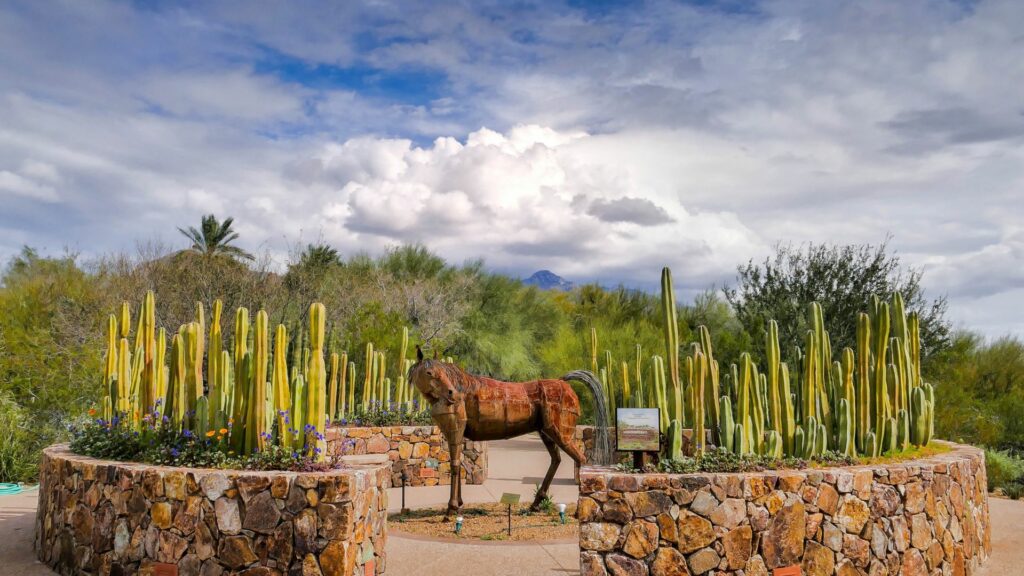 Tohono Chul Park, Tucson