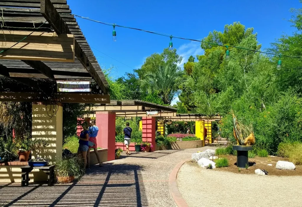 Tucson Botanical Garden