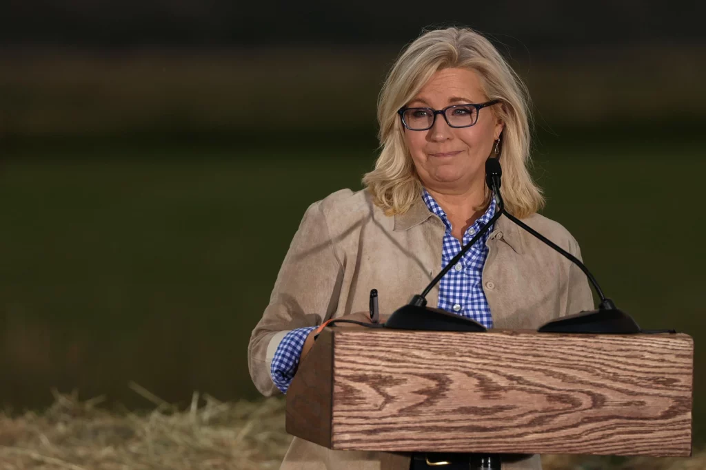 Liz Cheney Career