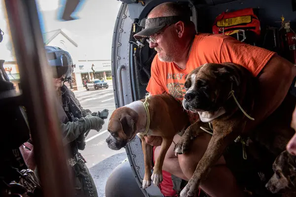 Pet Safety Tips for Tropical Storm Nicole