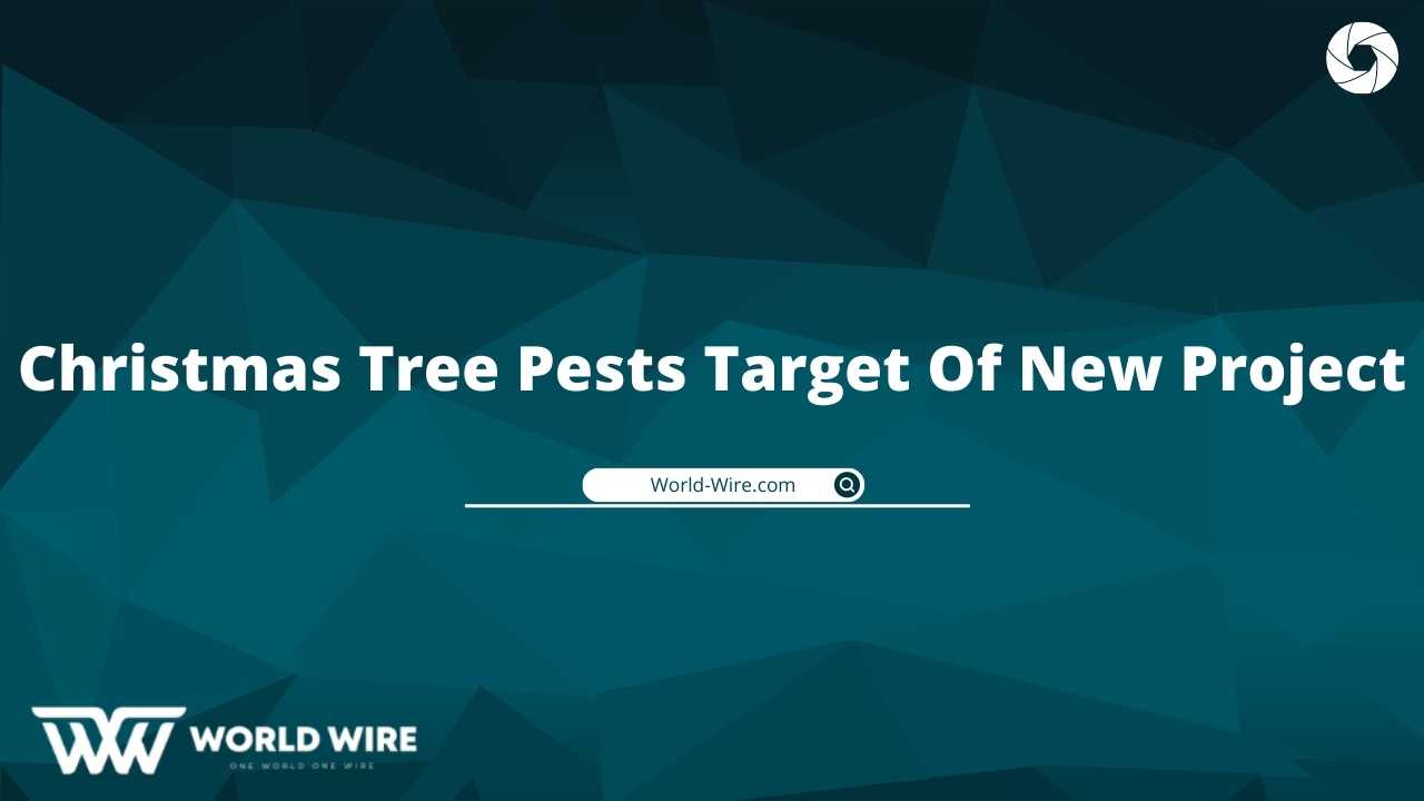 Christmas Tree Pests Target Of New Project WorldWire