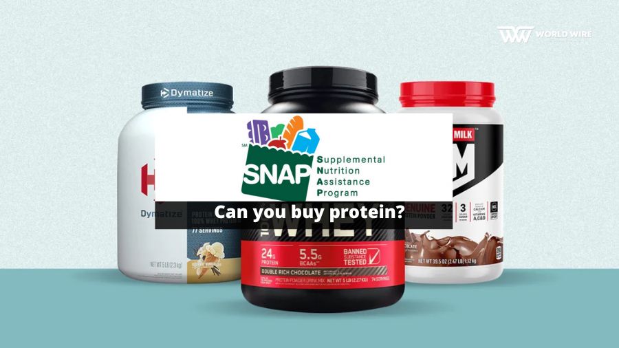 Can You Buy Protein Powder With EBT – Easy Guide