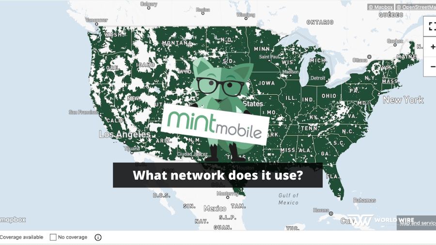 What network does Mint Mobile use? Explained