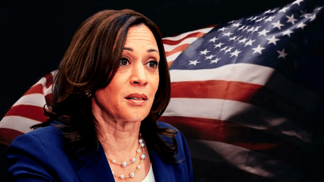 Allies come to Kamala Harris' defense after critical news story - World ...