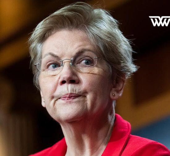 Elizabeth Warren Announces Senate Re-Election Bid
