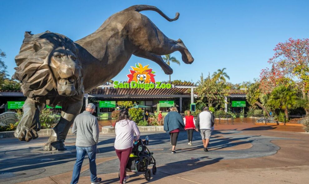 does san diego zoo offer ebt discount