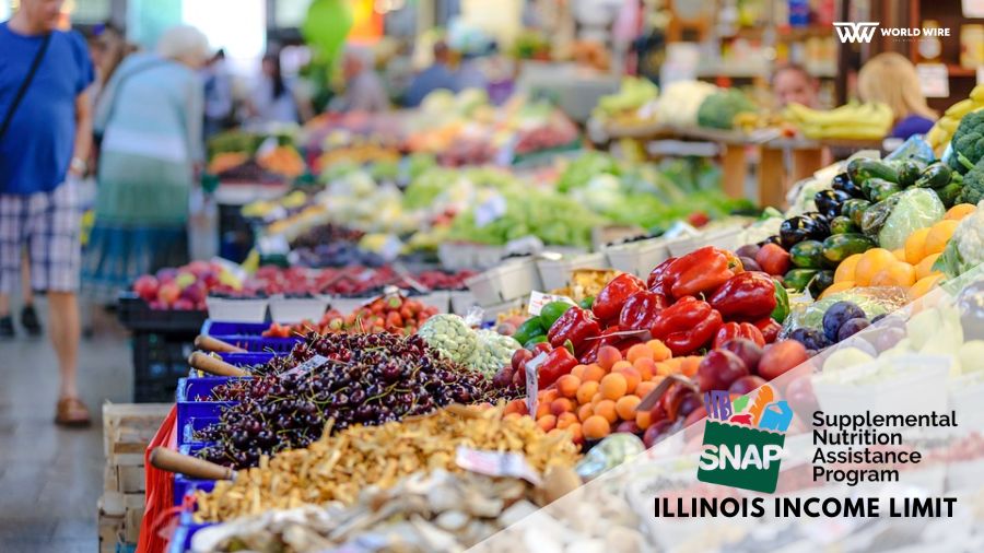 What Is The Food Stamp Income Limit In Illinois