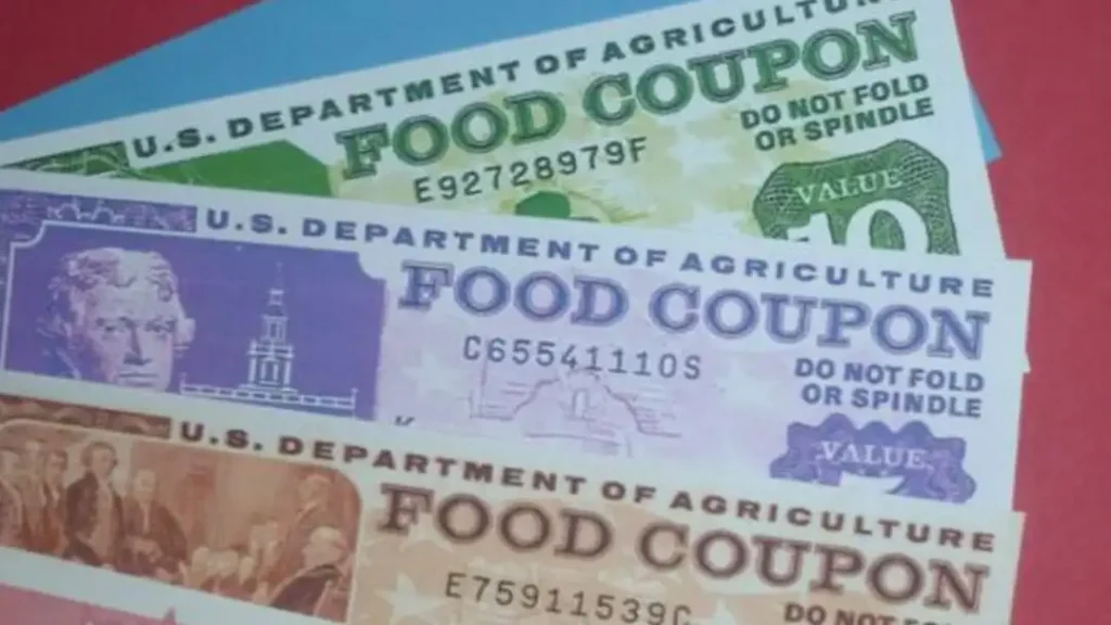 What is the Georgia Food Stamps Program