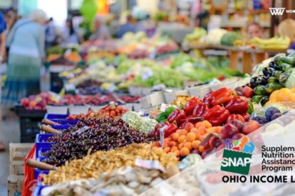 What is the income limit for Food Stamps in Ohio