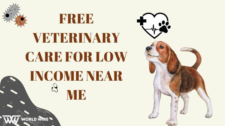 How to get Free Veterinary Care for Low Income Near Me