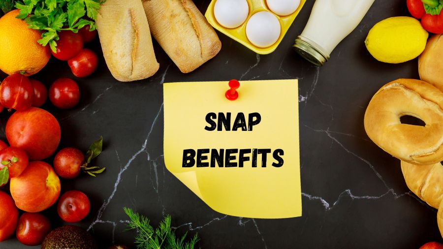 Best Providers For A Free Tablet With SNAP Benefits