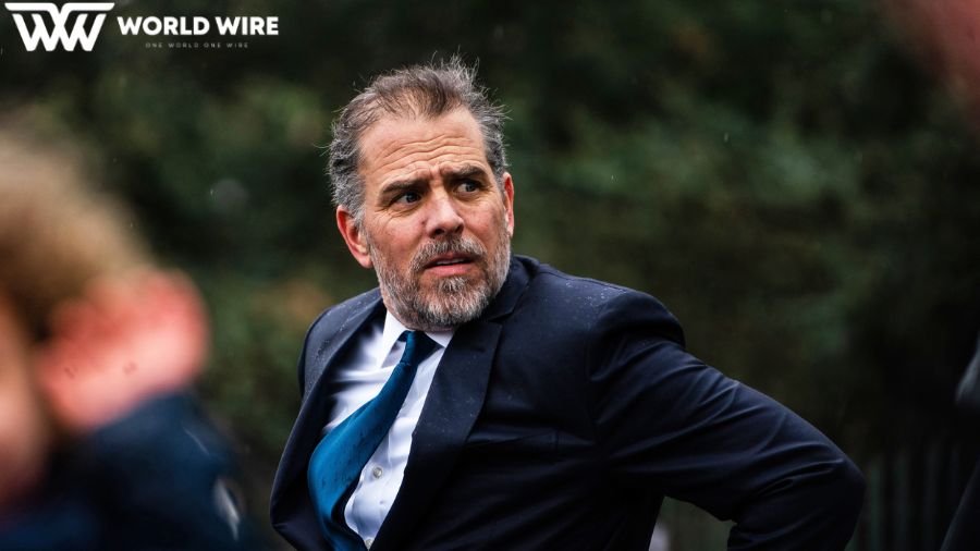 Get to know what McCarthy Tweeted about Hunter Biden's plea deal