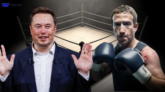 Elon Musk, Mark Zuckerberg Cage Fight Controversy Explained - World-Wire