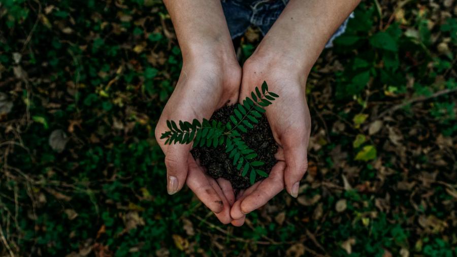 How Businesses Stand to Benefit From Adopting Sustainable Practices