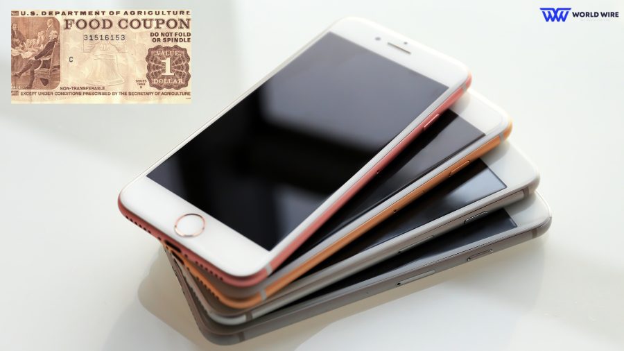 Types of iPhones That are Offered with Food Stamps