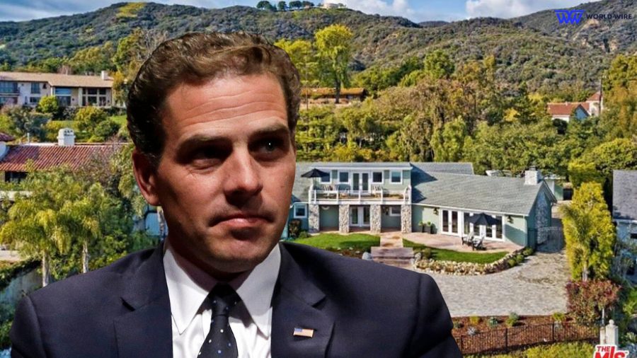 Hunter Biden Luxury Homes