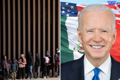 Biden Sells Unused Trump Border Wall for Millions