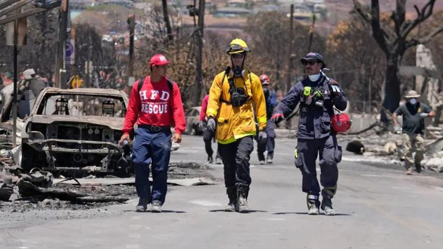 Only Fraction Of Dead Maui Wildfire Victim Identified As Remains' Fall Apart'