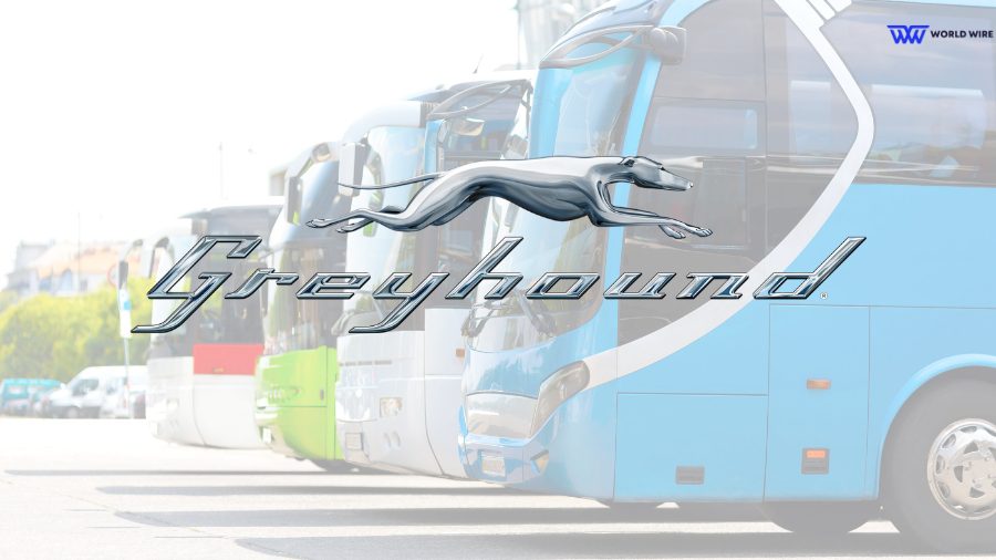 What is Greyhound?