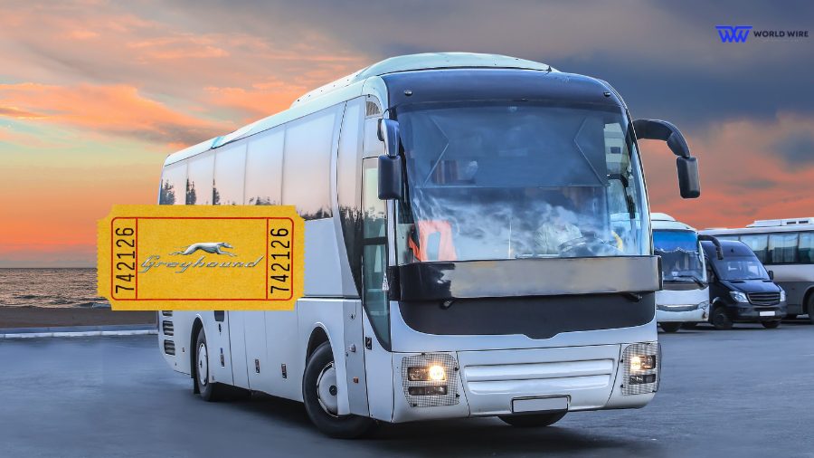 What Is The Greyhound Bus Ticket Assistance Program?