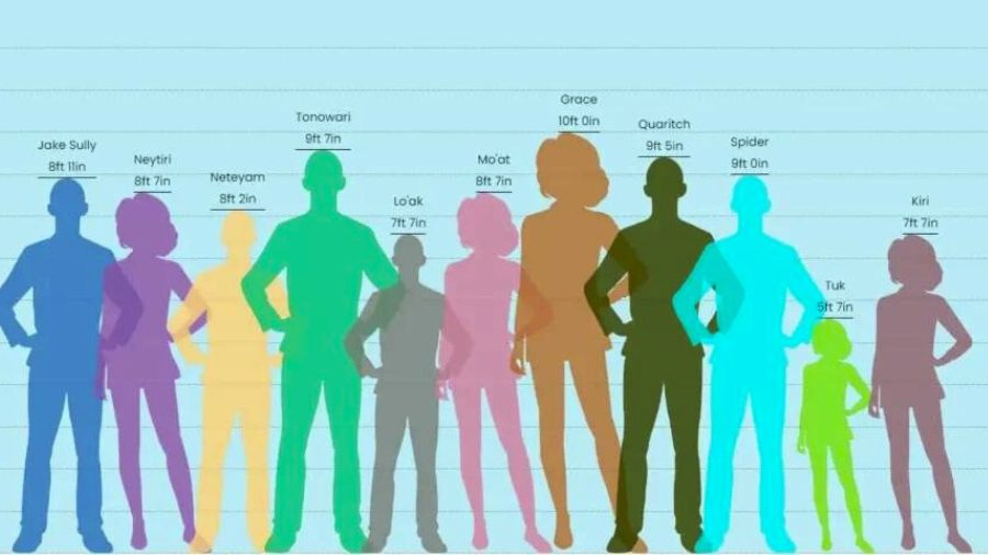 Comparing Jake Sully Height To Other Characters