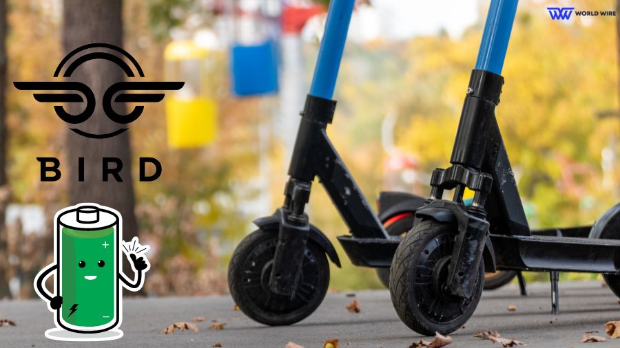 How Do I Extend The Lifespan Of Bird Scooters