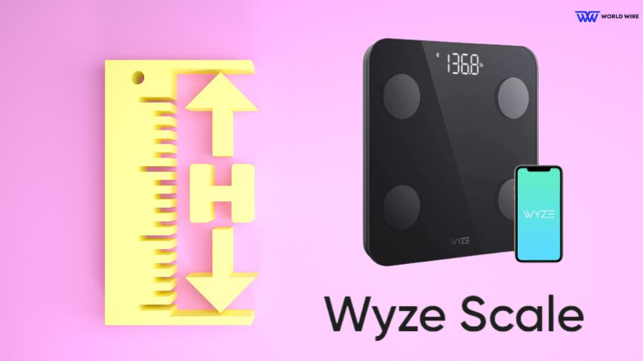 How Does The Wyze Scale Measure Height