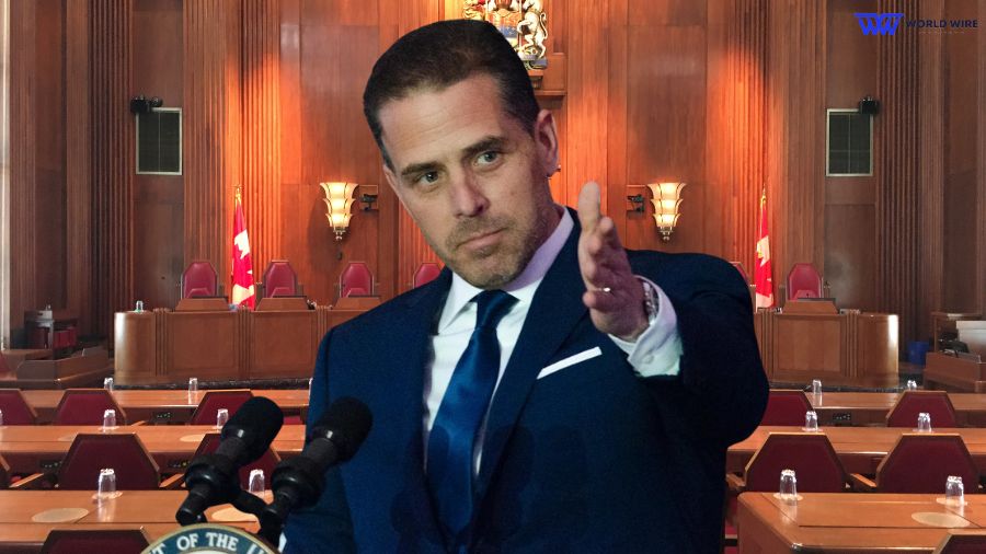 Hunter Biden Ask Judge to Dismiss Tax Charge as Politically Motivated