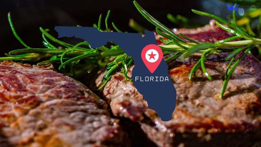 Florida Become First State to Ban Lab Grown Meat