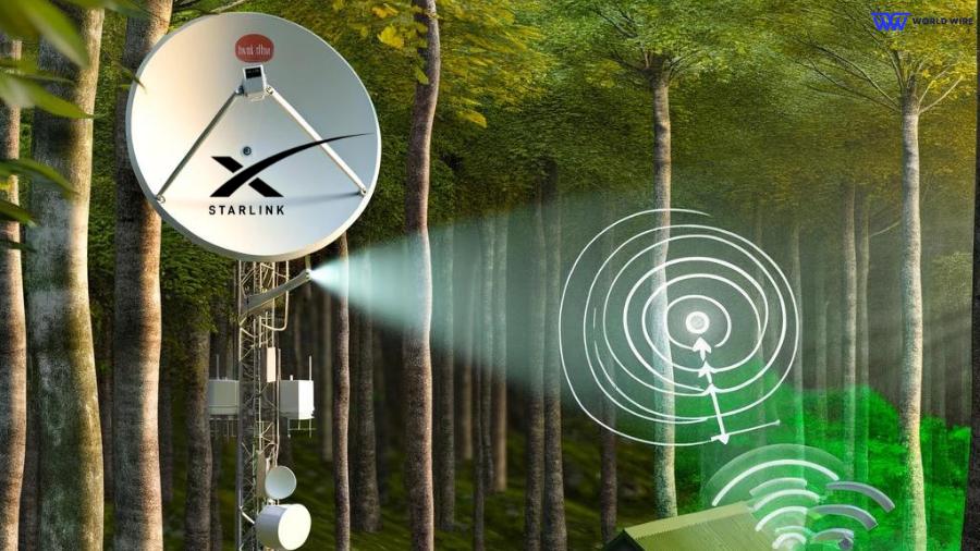 Solutions For Starlink Home Users In Wooded Areas